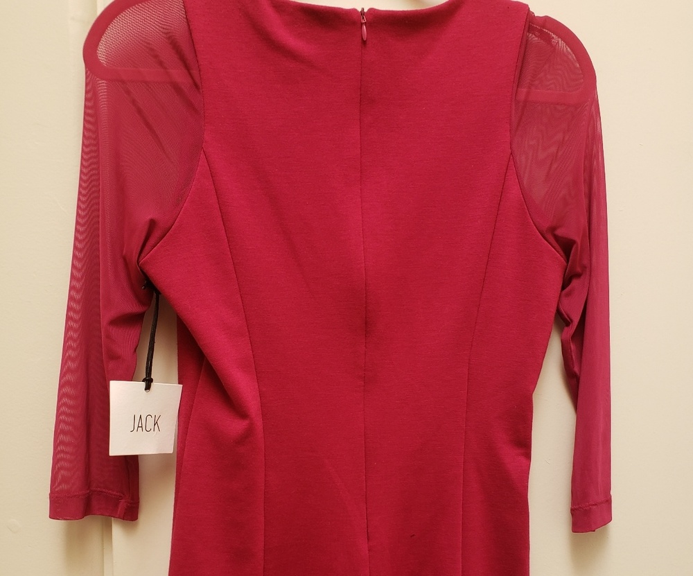 Bebe Dakota Jack pink back zip sheer sleeve dress